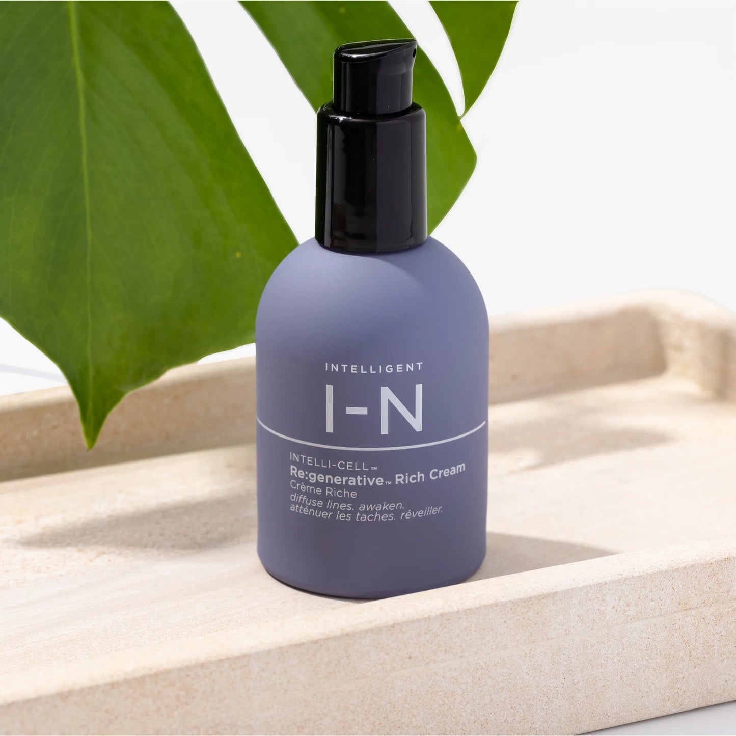 Daily Skin Essentials
