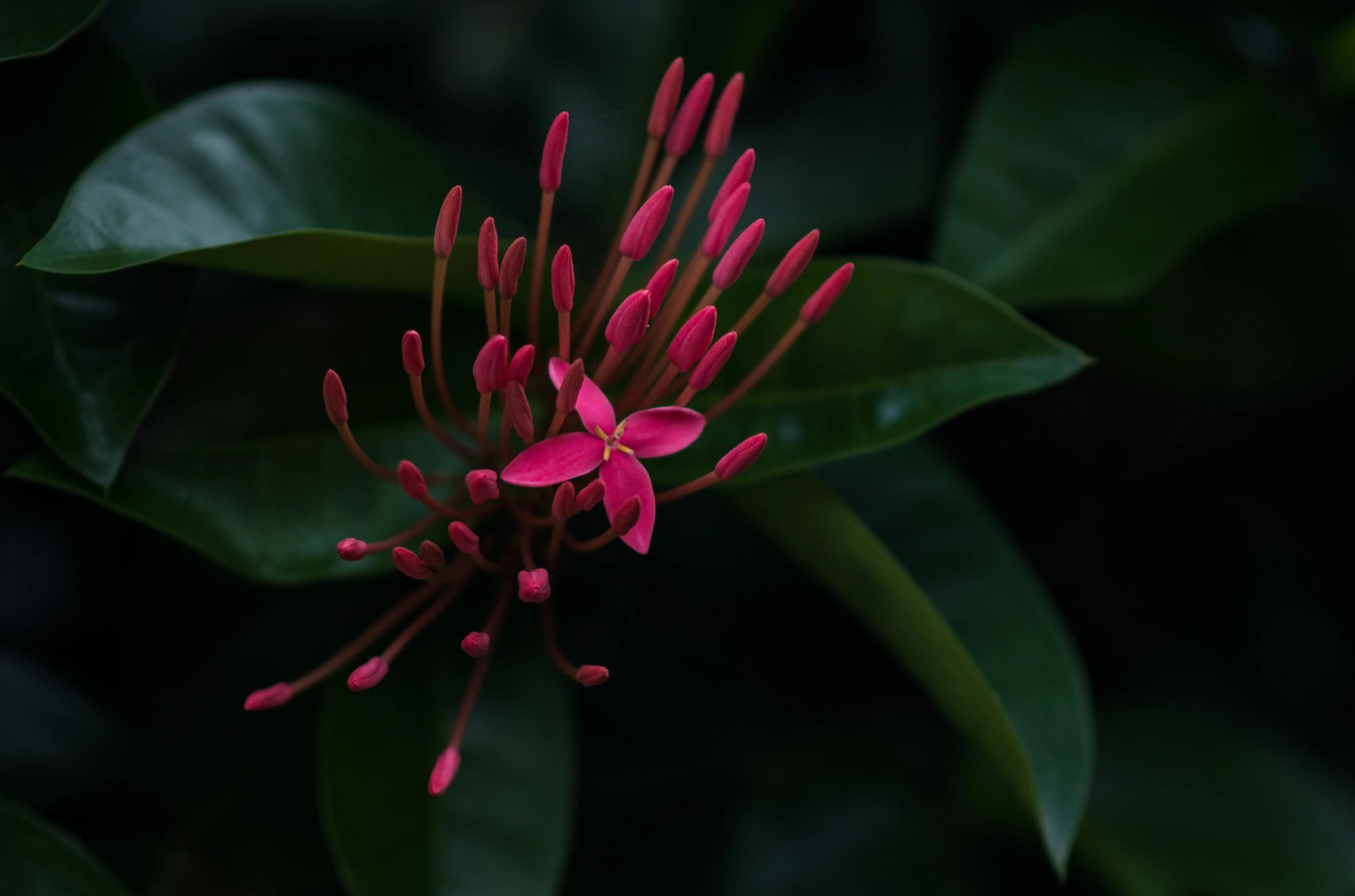 Harnessing the power to enhance your natural beauty without harming the planet.That's Intelligent. 