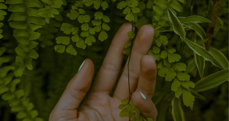 Taking organic and natural into the next century.